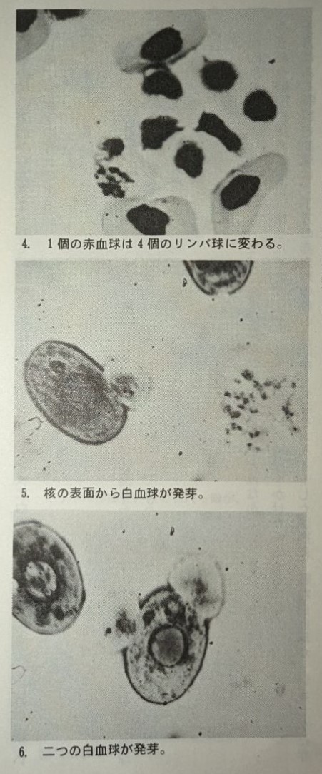 白血球銀座整体３