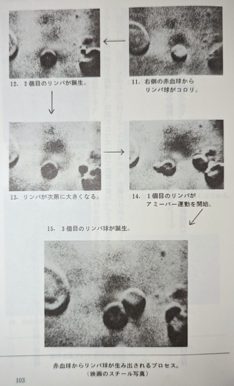 白血球整体銀座２