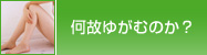 ̂䂪ނ̂H