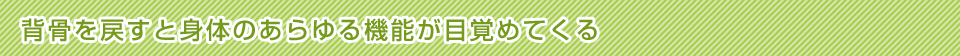 背骨は正しい位置に治まるようになっている