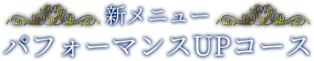 新メニュー パフォーマンスUPコース
